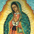 Corpus
